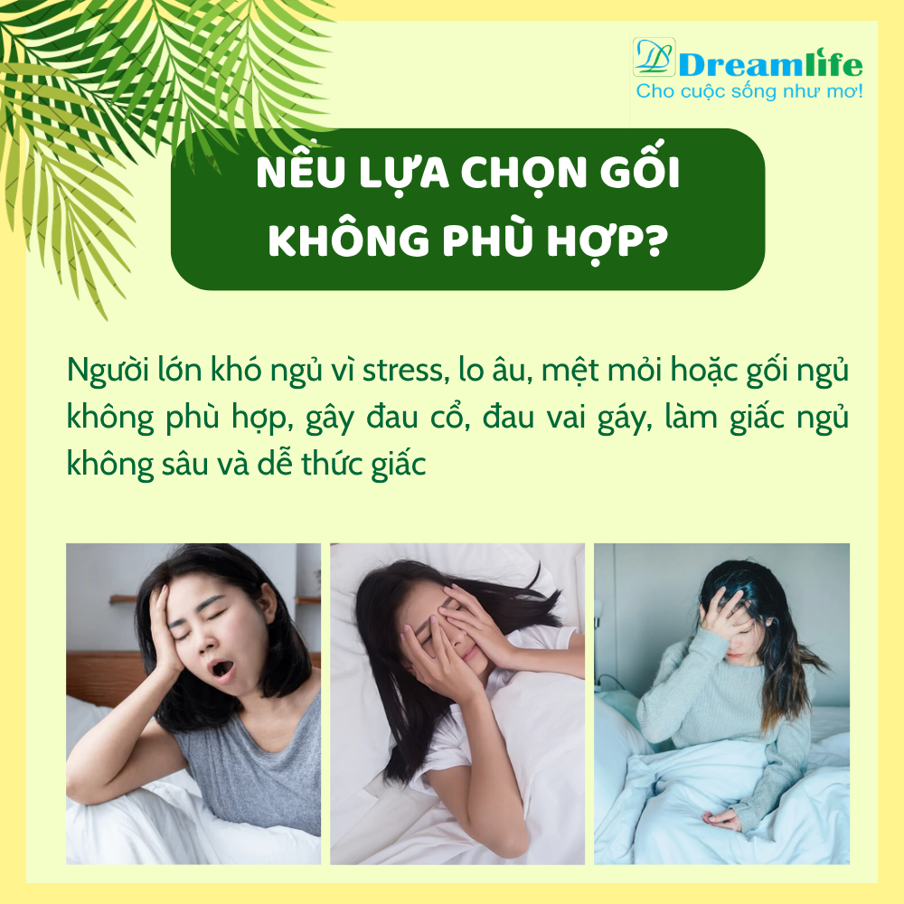 Gối nằm Đinh lăng người lớn (35% Đinh lăng) - Ảnh 6