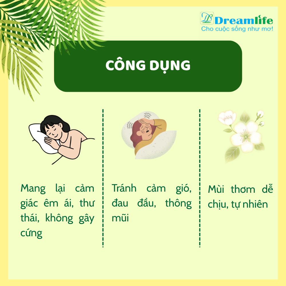 Gối nằm Đinh lăng người lớn (35% Đinh lăng) - Ảnh 8