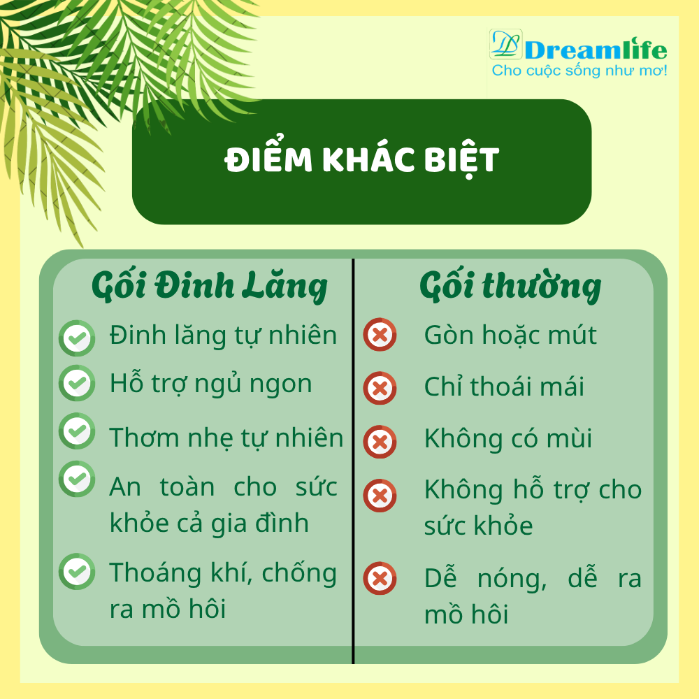 Gối nằm Đinh lăng người lớn (35% Đinh lăng) - Ảnh 9
