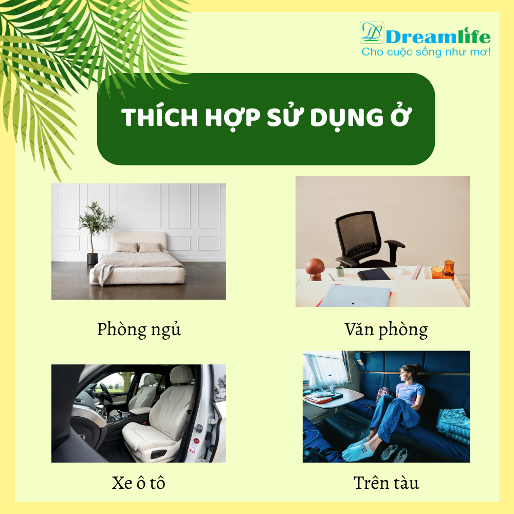 Gối nằm Đinh lăng người lớn (35% Đinh lăng) - Ảnh 10