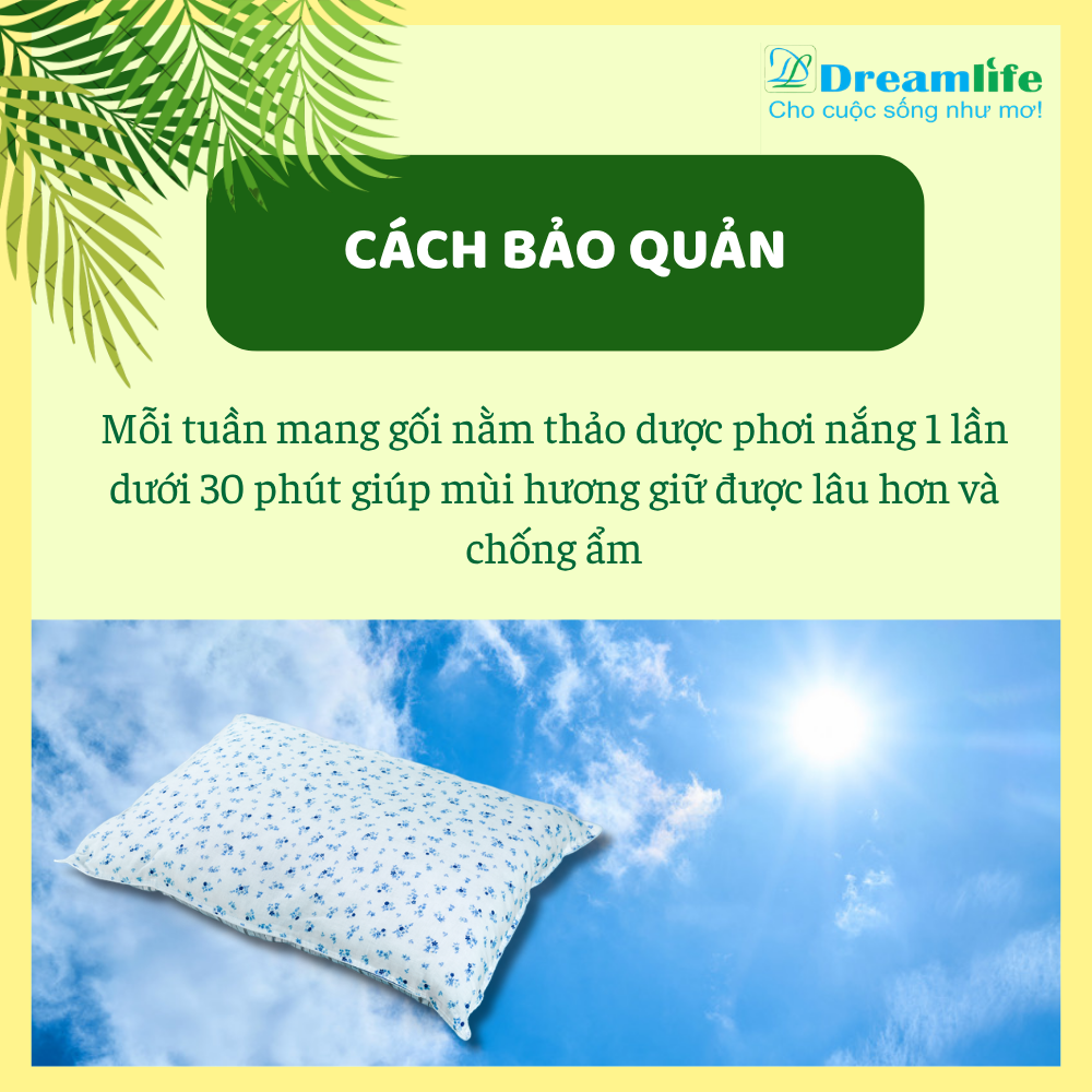 Gối nằm Đinh lăng người lớn (35% Đinh lăng) - Ảnh 11
