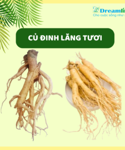 CỦ ĐINH LĂNG TƯƠI