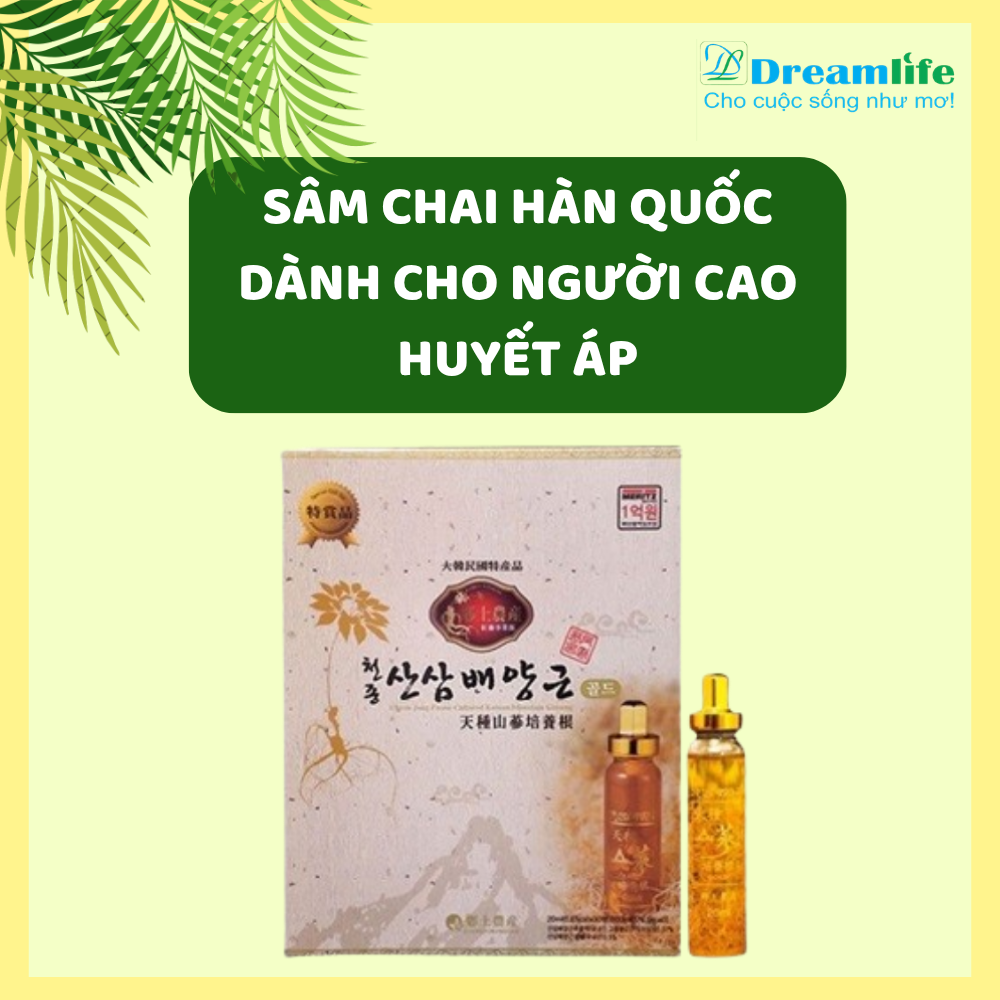 SÂM CHAI HÀN QUỐC DÀNH CHO NGƯỜI CAO HUYẾT ÁP