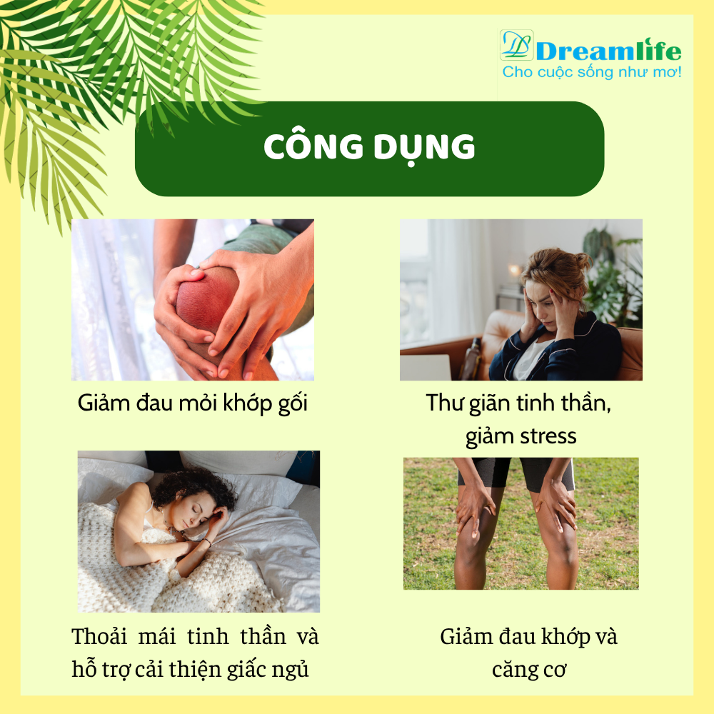 GỐI CHƯỜM ĐẦU GỐI DL - Ảnh 6