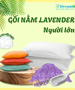 Gối nằm Lavender người lớn Cao cấp (65% Lông vũ, 35% Lavender)