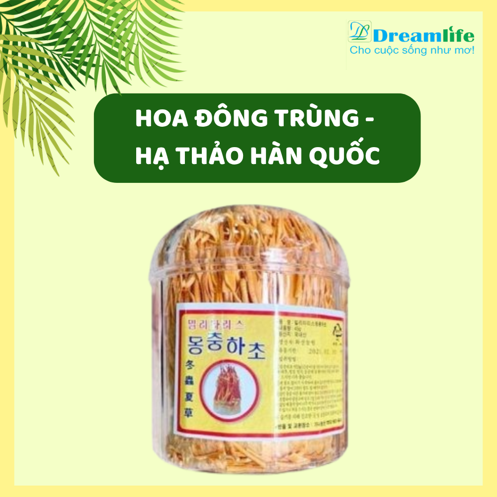 HOA ĐÔNG TRÙNG - HẠ THẢO HÀN QUỐC. HỘP 45GRAM