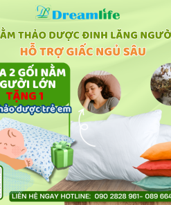 Alternative view of Gối nằm Đinh lăng người lớn (35% Đinh lăng)